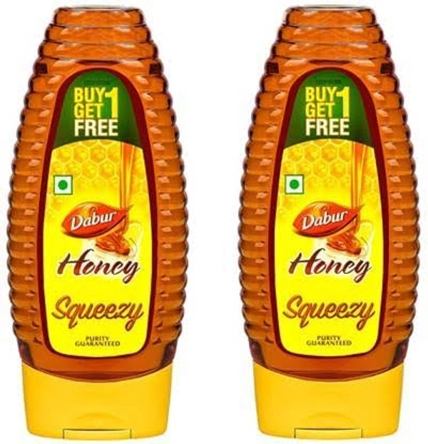 Dabur Honey  Squeezy 100% Pure BUY 1 GET 1 FREE