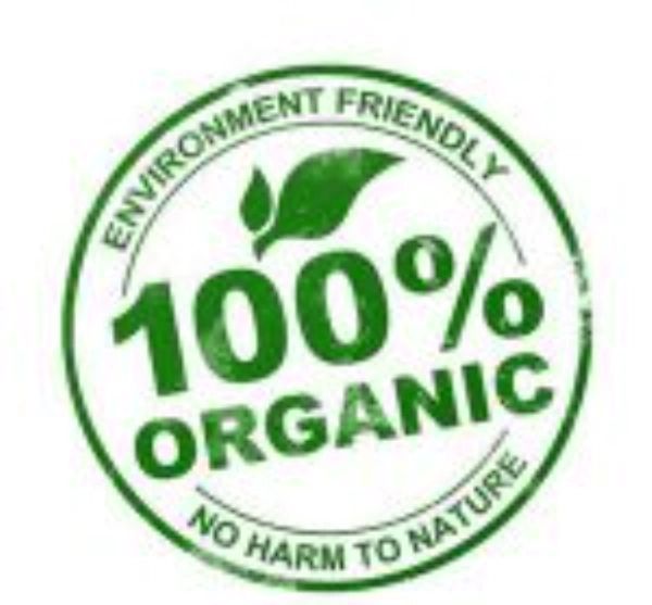 AVT Infuse Health Green Tea Box  (100 g)