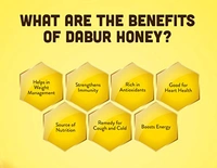 Dabur Honey  Squeezy 100% Pure BUY 1 GET 1 FREE