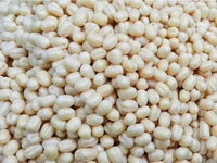URUTT UZHUNNU 1KG (URAD DAL) (ഉരുട്ട് ഉഴുന്ന്)
