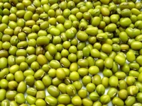 PAYAR (MOONG) 1KG(പയര്‍)