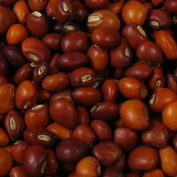 BIG PAYAR (RED GRAM)വലിയ
