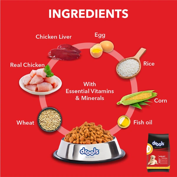 DROOLS ADULT CHICKEN AND EGG 1.2KG - 
