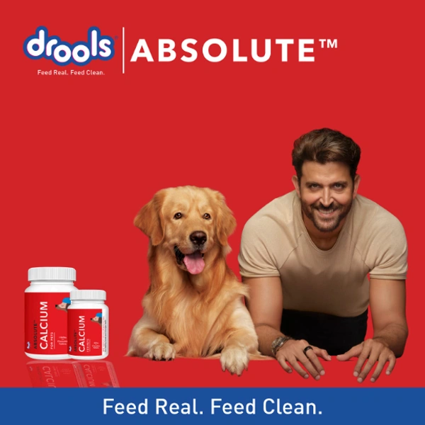 DROOLS ABSOLUTE CALCIUM 50 TABLETS