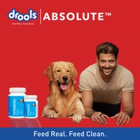 DROOLS ABSOLUTE VITAMINS 50 TABLETS