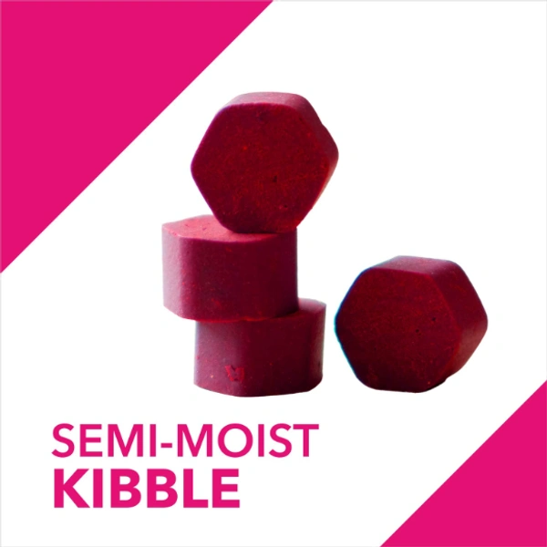 DROOLS ABSOLUTE SKIN+COAT 50 TABLETS