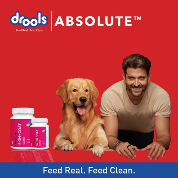 DROOLS ABSOLUTE SKIN+COAT 50 TABLETS