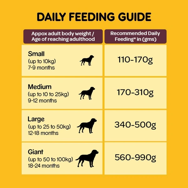 Pedigree Meat & Rice, For Adult Dogs - 1.2 Kg