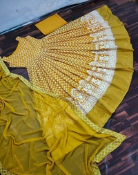Anarkali Embroidery Gown