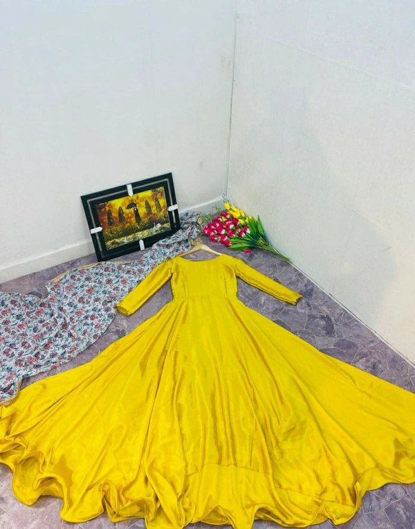Finon Silk Full Stitched Gown
