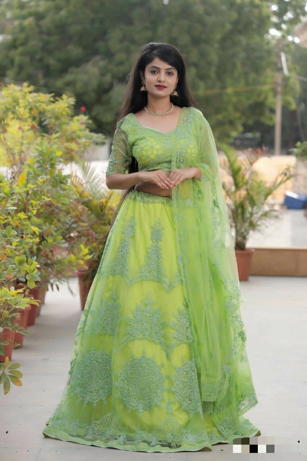 Heavy Nylon Net Lehenga Choli