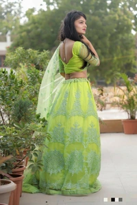 Heavy Nylon Net Lehenga Choli