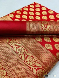 Litchi Silk Saree