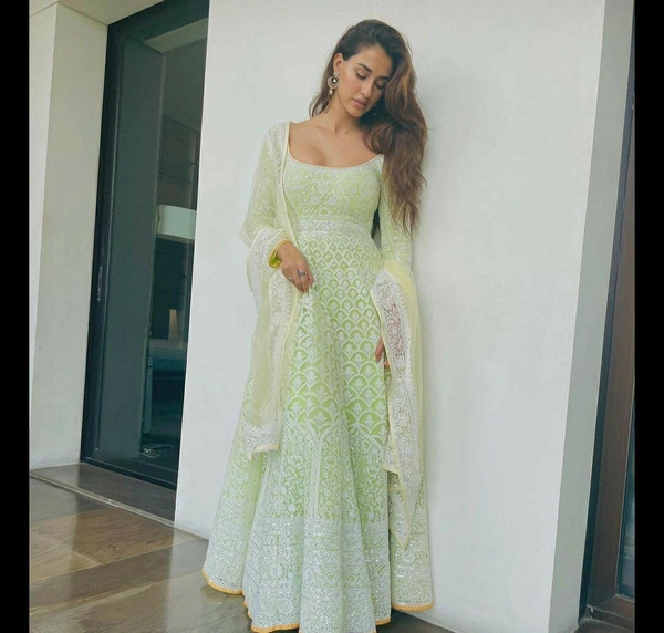 Faux Georgette Embroidery Work Gown