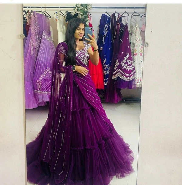 Soft Net Lehenga Choli