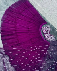 Soft Net Lehenga Choli