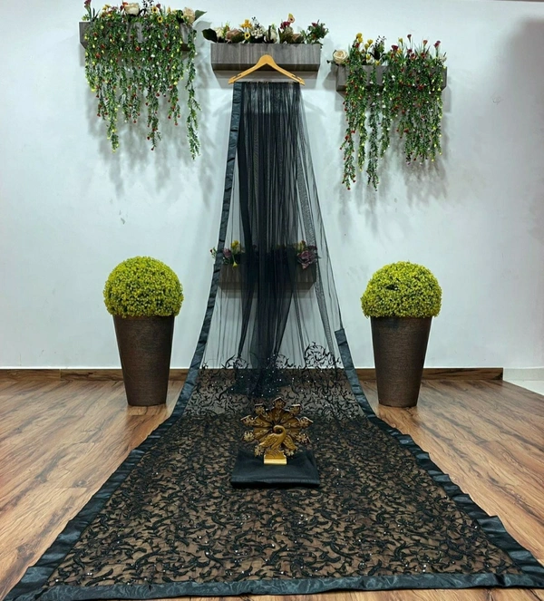 Black Heavy Net Saree