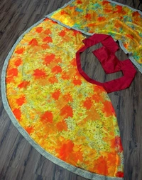 Organza Lehenga Choli
