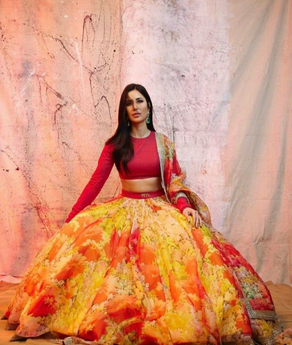 Organza Lehenga Choli