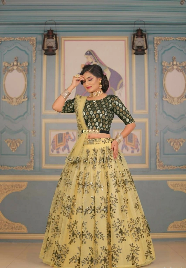 Net Lehenga Choli