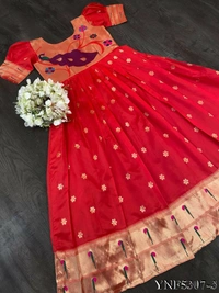 Silk Zari Gown