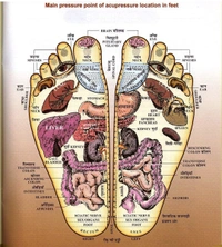 Foot Acupressure Roller