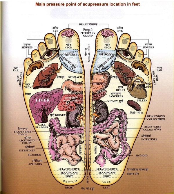 Foot Acupressure Roller