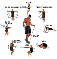 Resistance Band Set with Handles, Portable Toning Tubes with Door Anchor & Foam Handles