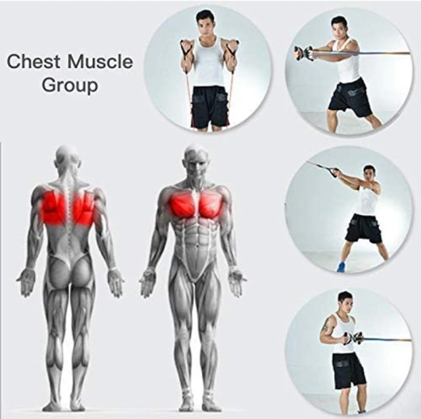 Resistance Band Set with Handles, Portable Toning Tubes with Door Anchor & Foam Handles