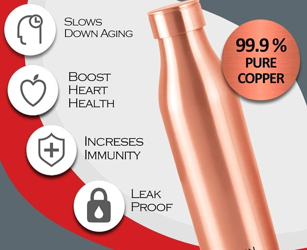 Milton Copper Charge 1000 Water Bottle, Set of 1, 960 ml, Copper,Brown