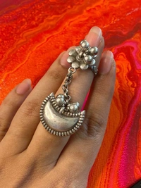 Vrishabha