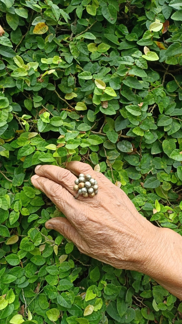 Ghungroo Rings