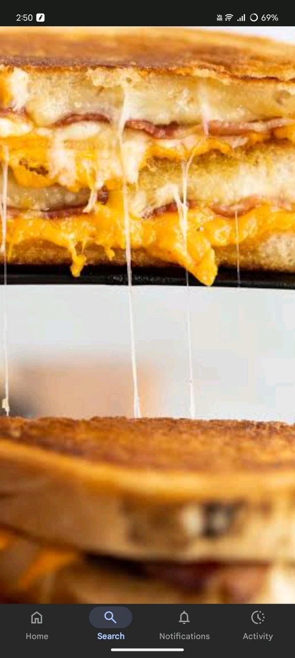 Double cheese sandwich 