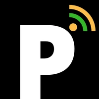 PALAMANER ONLINE - Logo
