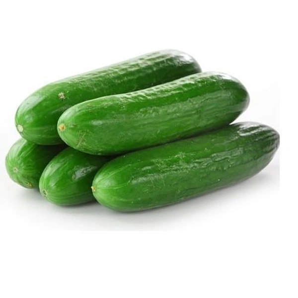 Cucumber ½kg