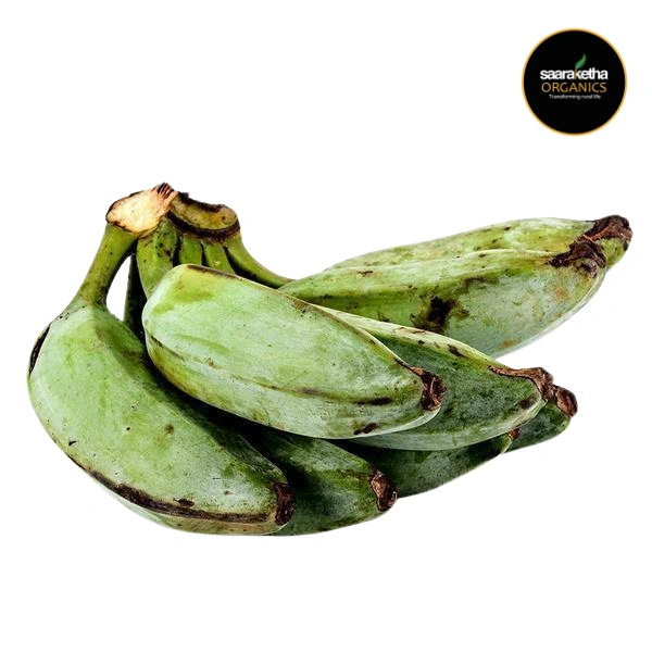 Plantain 