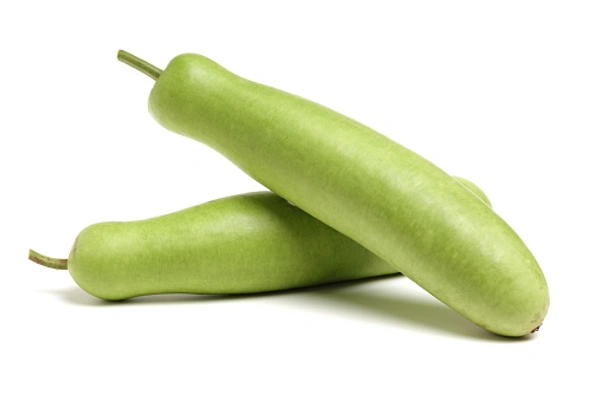 Bottle Gourd 