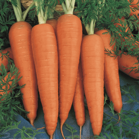 Carrot ½kg