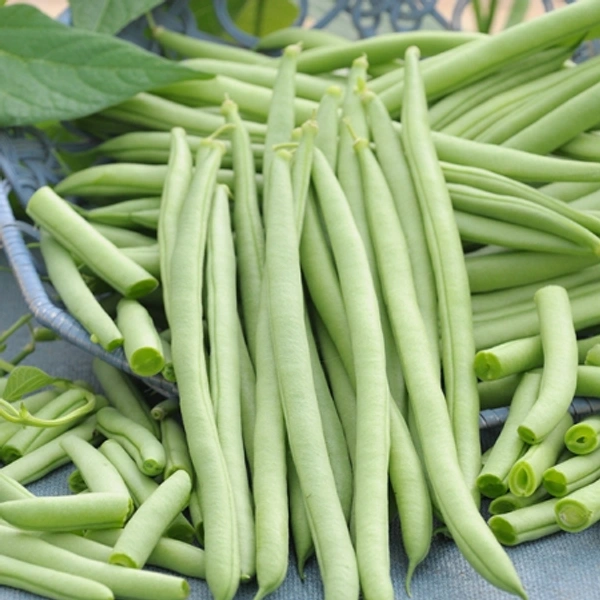 French Beans ½kg