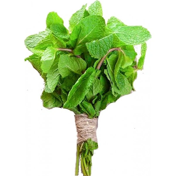 Mint