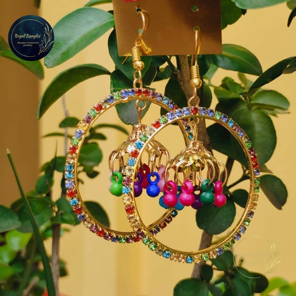 Earrings  - Multi color 