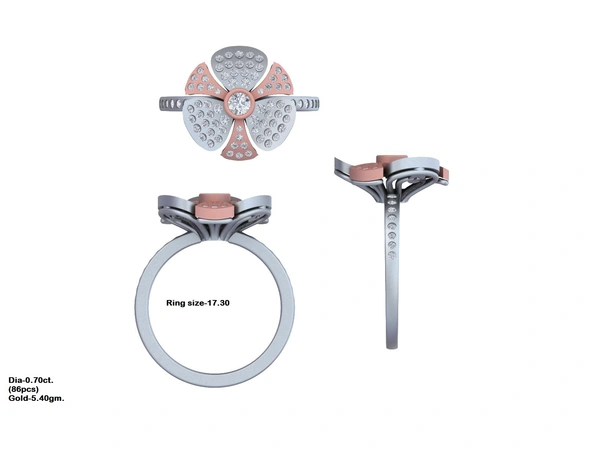 R-3465 - 3DM, STL, 1JPG / No Changes Applicable / Files send via emails or Wetransfer Only.