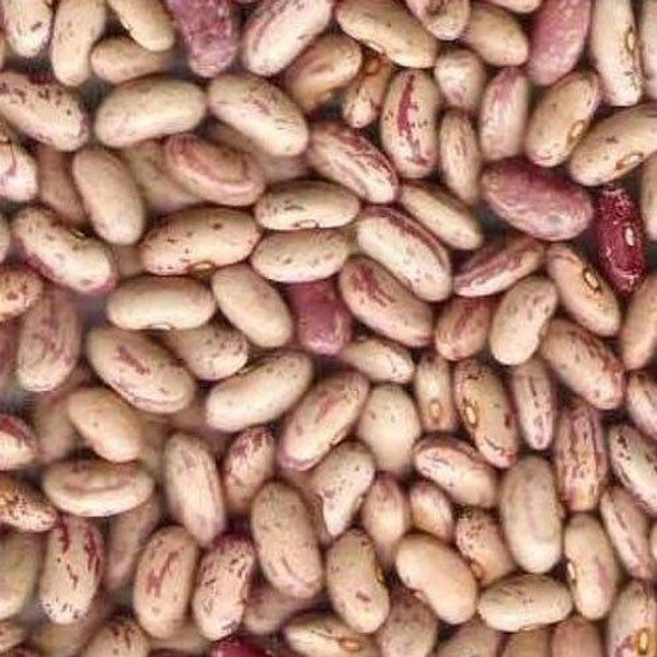 Razma Chitra