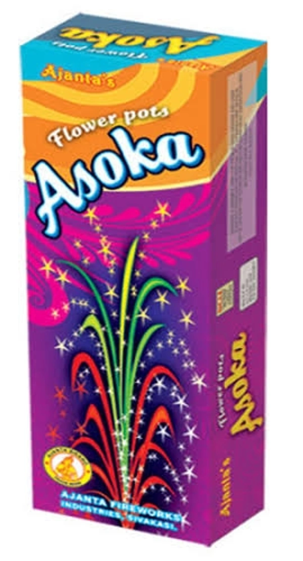 Flower Pots Asoka