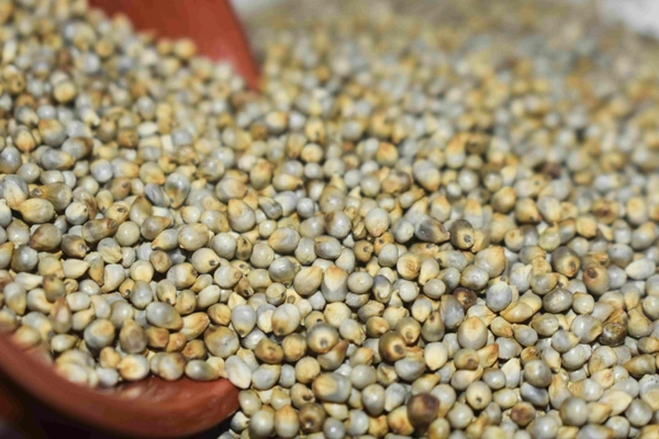 கம்பு - 500g