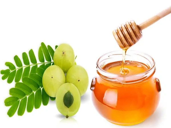 Aamla Powder Soaked In Honey ( நெல்லிப்பொடி தேன் ) - 300 gms