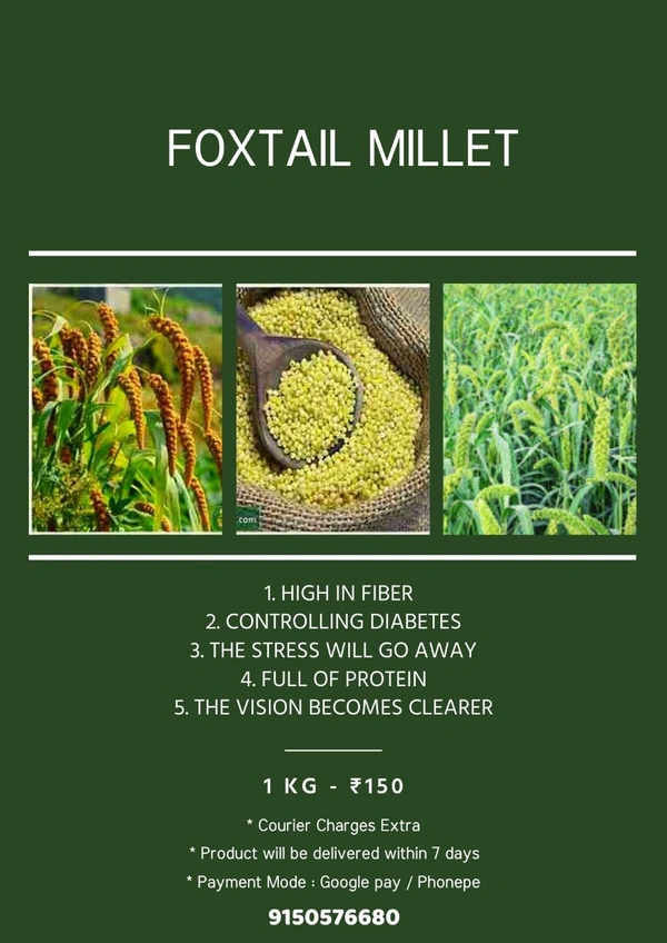 Foxtail Millet ( திணை அரிசி ) - 500 gms