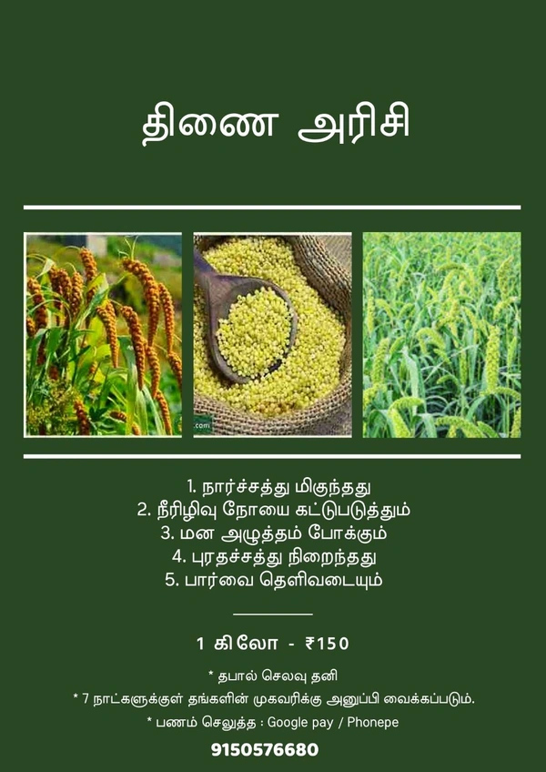 Foxtail Millet ( திணை அரிசி ) - 500 gms