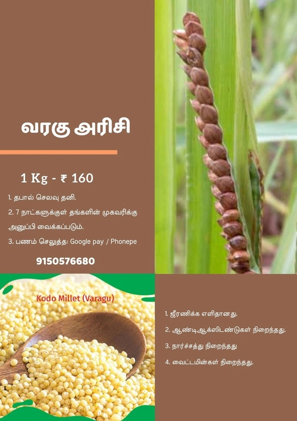 Kodo Millet ( வரகு‌ அரிசி ) - 1 KG