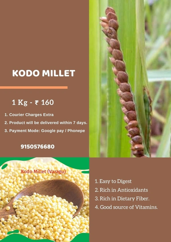 Kodo Millet ( வரகு‌ அரிசி ) - 1 KG